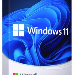 Windows 11 Professional Retail