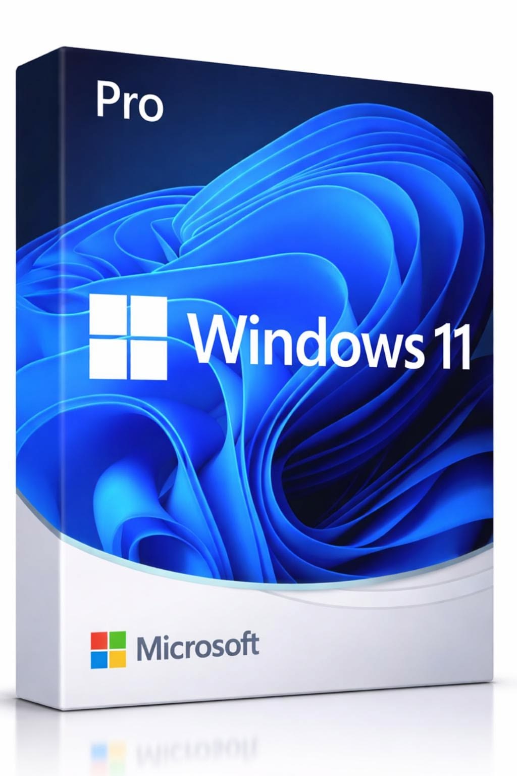 Windows 11 Professional Retail